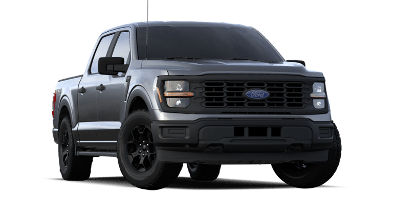 2024 Ford F-150 Vehicle Photo in Terrell, TX 75160